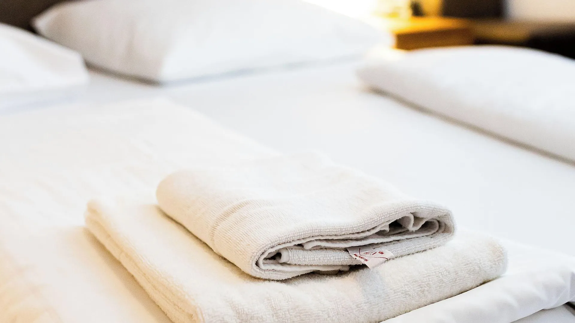 Lenas Donau Hotel Wien Österreich