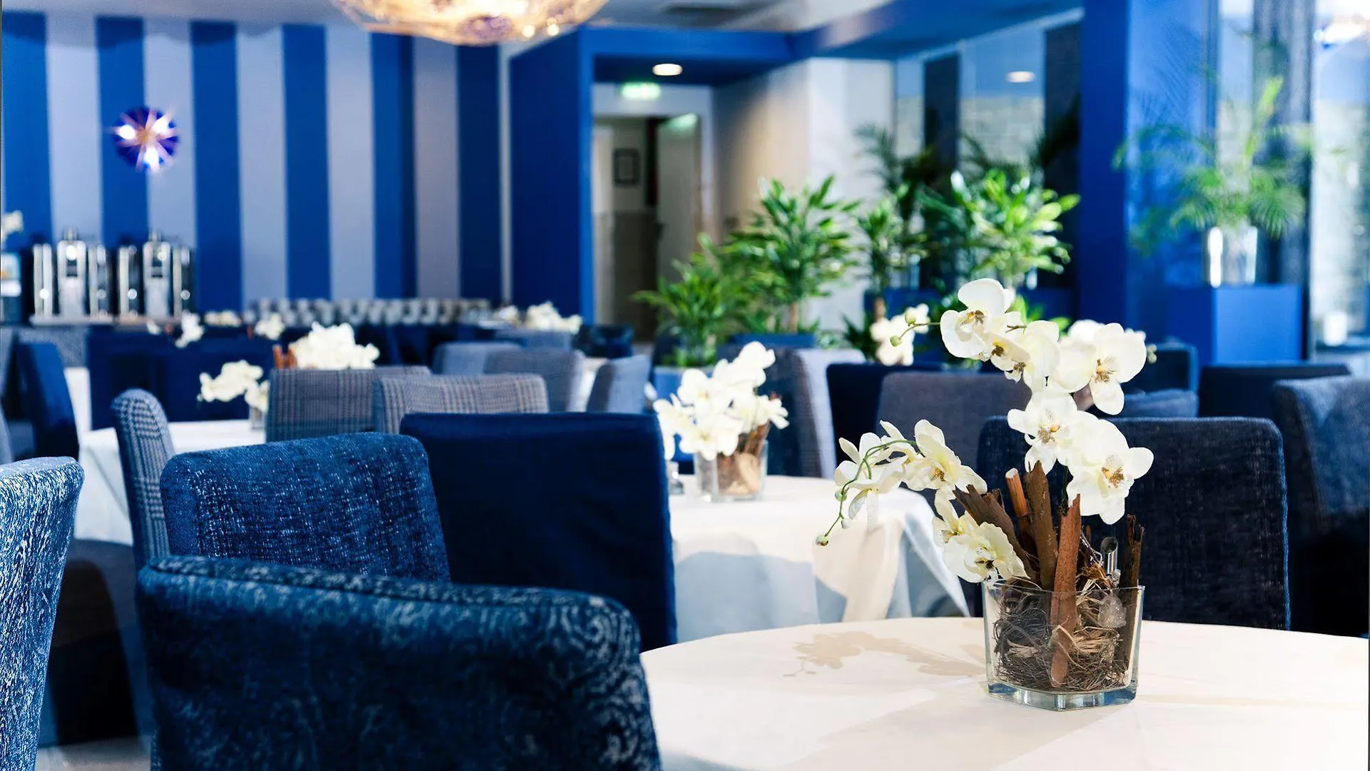 Lenas Donau Hotel Wien Österrike